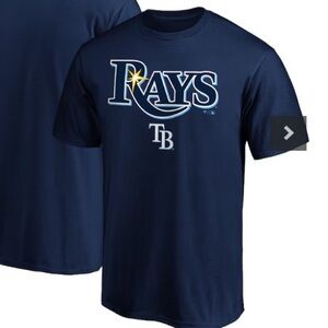 Fantastic Tampa Bay Ray’s